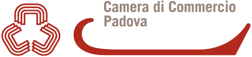 Bandi finanziamento E-commerce a Padova.